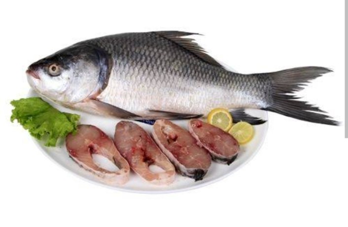 Katla Fish [Size-6kg Per pc] (1kg)