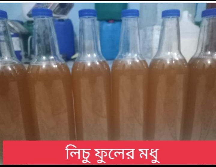 লিচু ফুলের মধু। ১ কেজি।