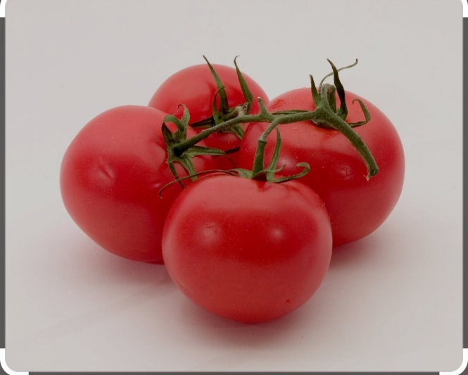 Tomato (1kg)