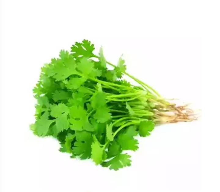 Dhonia pata (Coriander leaves)(500gm)